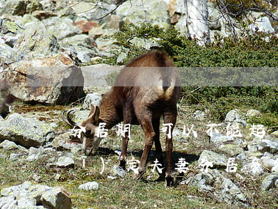 分居期間可以不能起訴離婚(婚姻法規(guī)定夫妻分居多久可以起訴離婚)