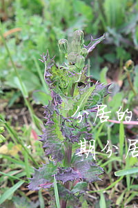 分居的夫妻為什么不離婚(長(zhǎng)期分居感情不和可以離婚嗎)