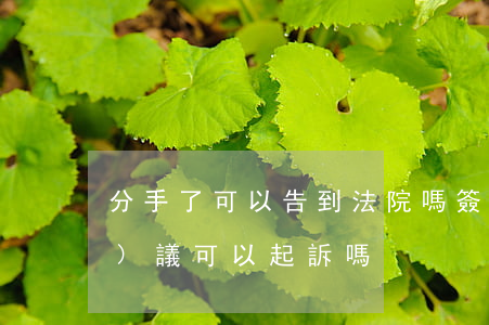 分手了可以告到法院嗎(簽了分手協(xié)議可以起訴嗎)