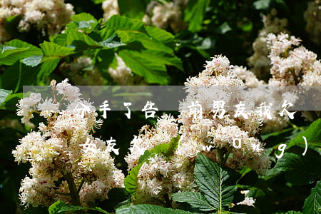 分手了告訴前男友我欠網(wǎng)貸(前女友欠網(wǎng)貸)