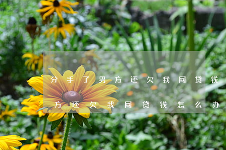 分手了男方还欠我网贷钱怎么办-分手了男方还欠我网贷钱怎么办呢