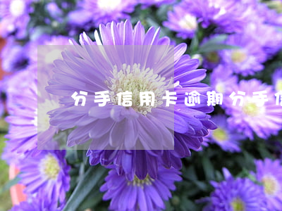 分手信用卡逾期(分手信用卡逾期了怎么办)