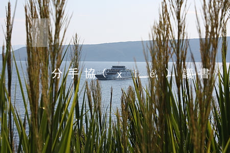 分手協(xié)議書