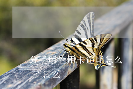 分手后信用卡逾期怎么辦(分期的信用卡逾期了怎么辦)