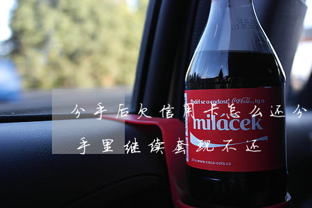 分手后欠信用卡怎么还(分手后信用卡在对方手里继续套现不还)