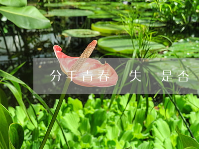 分手青春損失費是否該向男朋友要？