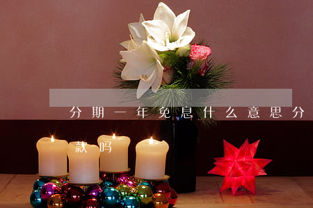 分期一年免息什么意思(分期免息是一次性付款吗)