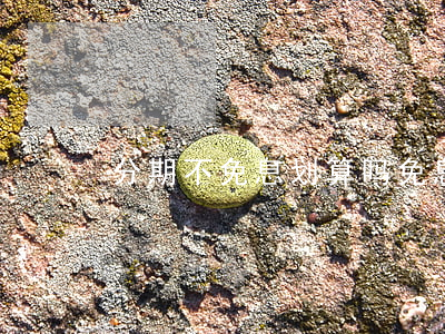 分期不免息划算吗（免息分期不按时还款）