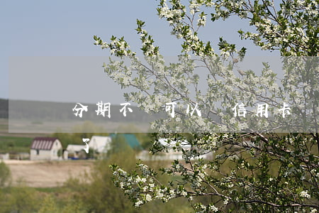 分期不還可以辦信用卡嗎(信用卡不能辦分期了)