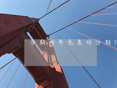 分期两年免息吗(分期付款两年)