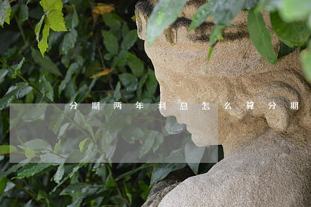 分期两年利息怎么算（分期2年免息划算吗）