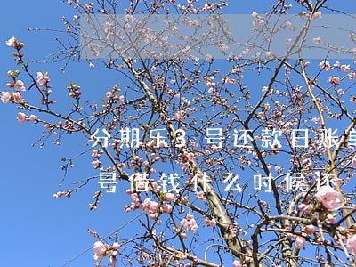 分期乐3号还款日账单日是几号-分期乐3号借钱什么时候还