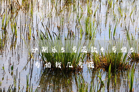 分期乐5号还款4号借5号要吗-分期乐5号借钱几号还