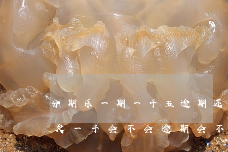 分期乐一期一千五逾期还款可以吗-分期乐欠一千会不会逾期会不会被起诉