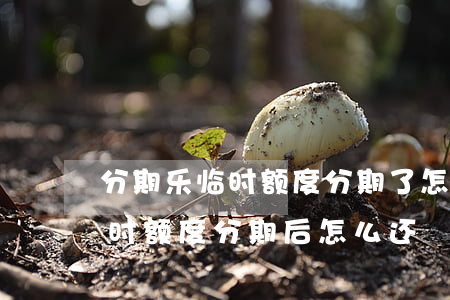 分期乐临时额度分期了怎么还款-分期乐临时额度分期后怎么还