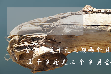 分期乐五千元逾期两个月利息多少-分期乐五千多逾期三个多月会怎么样