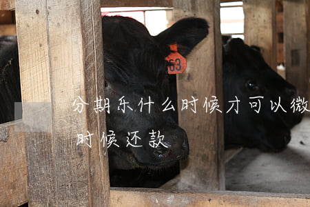 分期乐什么时候才可以微信还款-分期乐啥时候还款