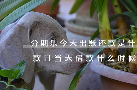 分期乐今天出账还款是什么时候-分期乐还款日当天借款什么时候还