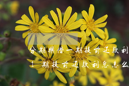 分期乐借一期提前还款利息怎么算-分期乐1期提前还款利息怎么算