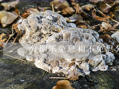 分期乐免息和不免息（分期乐免息金什么意思）