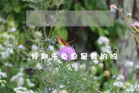 分期乐免息是真的吗