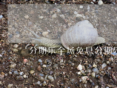分期乐全场免息(分期乐免息卷可以干嘛使用)