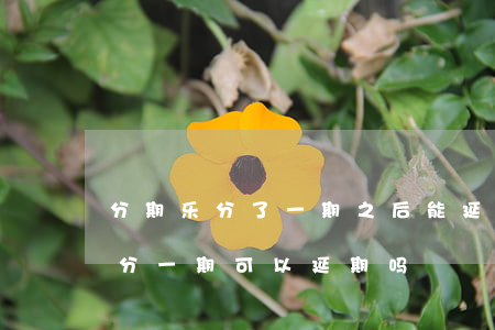 分期乐分了一期之后能延迟还款吗-分期乐分一期可以延期吗