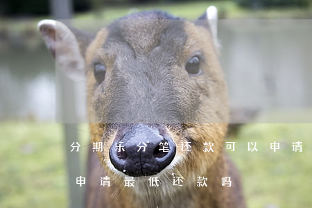 分期乐分笔还款可以申请最低吗-分期乐能申请最低还款吗