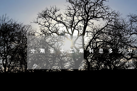 分期乐十二期利息多少(分期乐十二期利息多少)