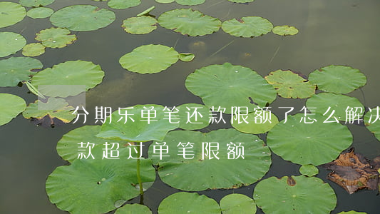 分期乐单笔还款限额了怎么解决-分期乐还款超过单笔限额