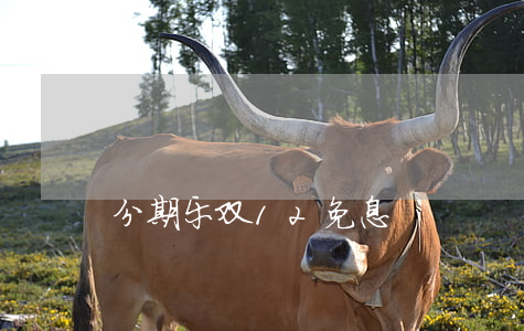 分期乐双12免息