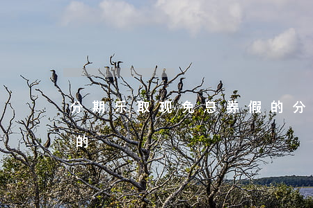 分期乐取现免息券假的(分期乐取现免息券假的)