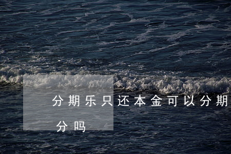 分期乐只还本金可以(分期乐还款可以还一部分吗)