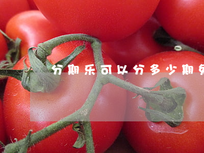 分期乐可以分多少期免息