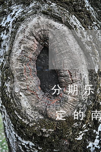 分期乐可以用南京银行卡还款吗-分期乐绑定的南京银行可以用吗?