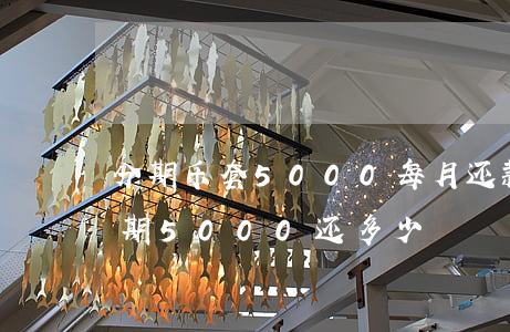 分期乐套5000每月还款多少-分期乐分期5000还多少
