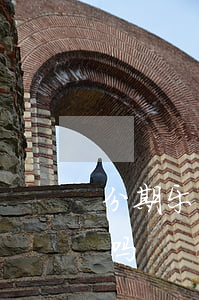 分期乐存在免息注销吗(分期乐存在免息注销吗)