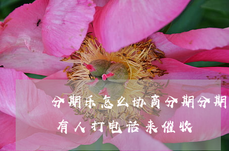 分期乐怎么协商分期(分期乐协商分期后来又有人打电话来催收)