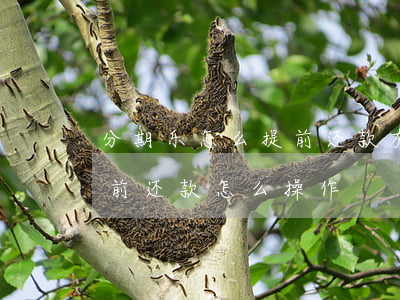 分期乐怎么提前还款有什么影响-分期乐提前还款怎么操作?