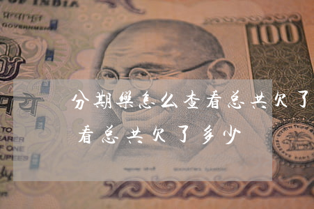 分期乐怎么查看总共欠了多少(分期乐怎么查看总共欠了多少)