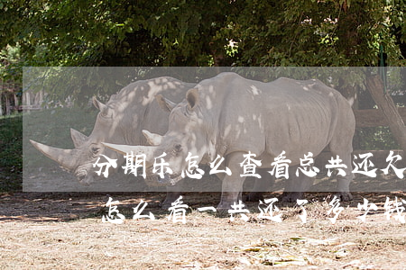 分期乐怎么查看总共还欠了多少钱-分期乐怎么看一共还了多少钱