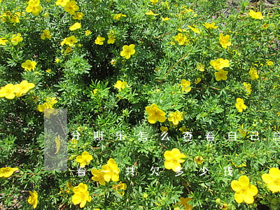 分期乐怎么查看自己总共欠多少(分期乐如何看一共欠多少钱)
