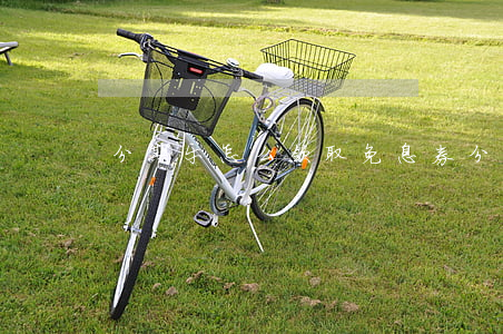 分期乐怎么领取免息券(分期乐怎么领还款券)