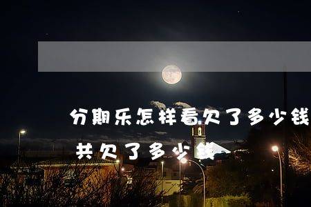 分期乐怎样看欠了多少钱(怎么样看分期乐一共欠了多少钱)