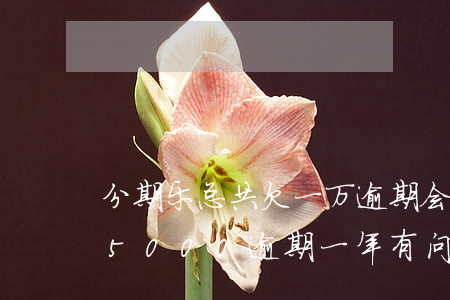 分期乐总共欠一万逾期会怎么样(分期乐欠款5000逾期一年有问题吗?)