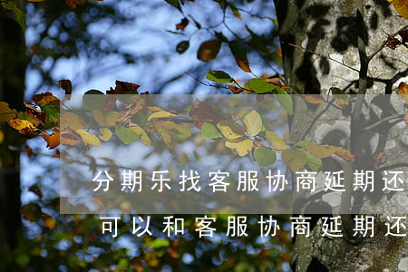 分期乐找客服协商延期还款有用吗-分期乐可以和客服协商延期还款