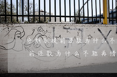 分期乐提前还款为什么不能再借-分期乐提前还款为什么不能再借了
