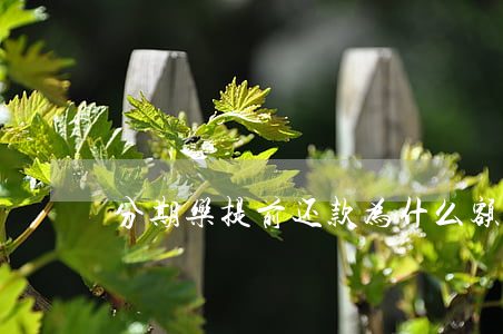 分期乐提前还款为什么额度没涨-