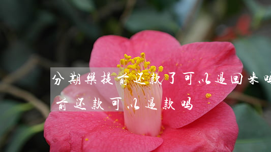 分期乐提前还款了可以退回来吗-分期乐提前还款可以退款吗