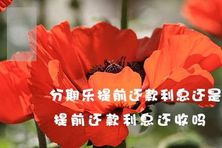 分期乐提前还款利息还是那么多吗-分期乐提前还款利息还收吗
